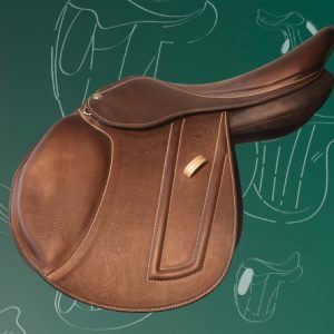 Millstreet dressage
